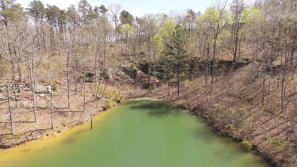 Land for Sale in Arley, Alabama