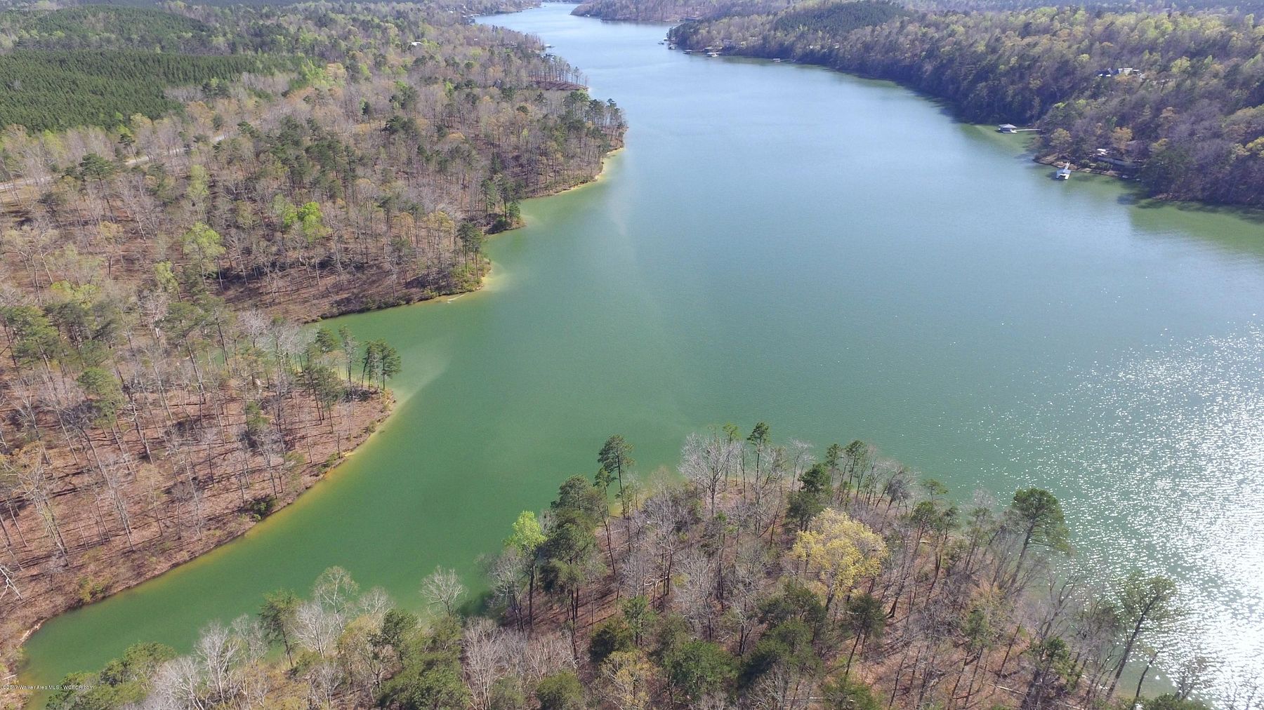 Land for Sale in Arley, Alabama