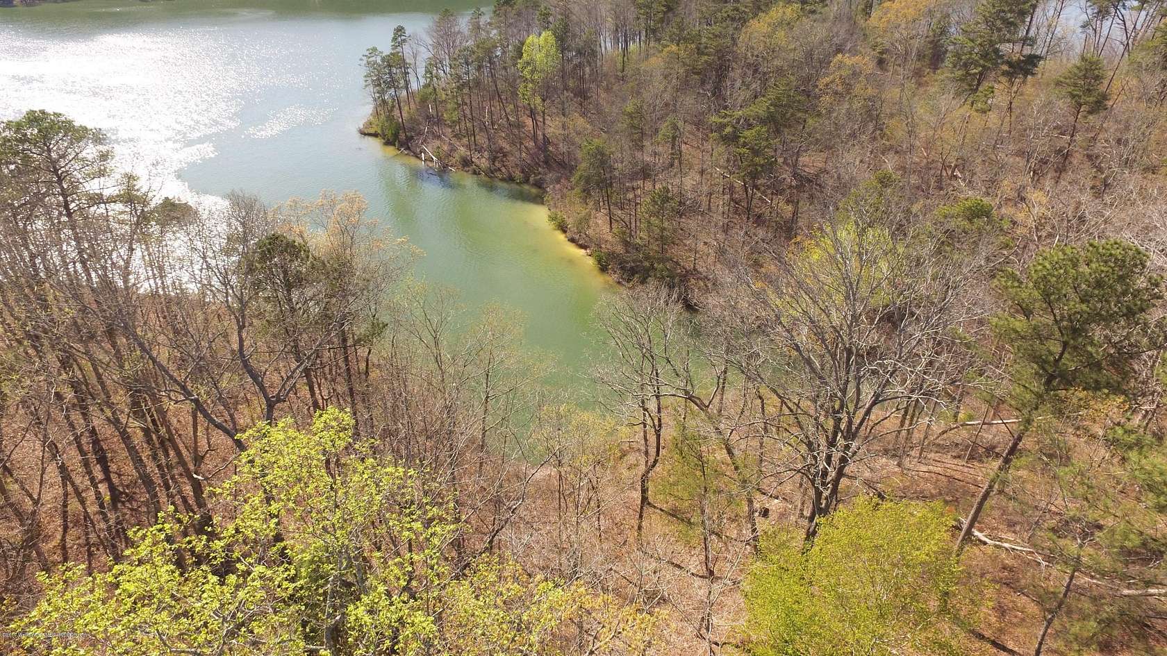 Land for Sale in Arley, Alabama