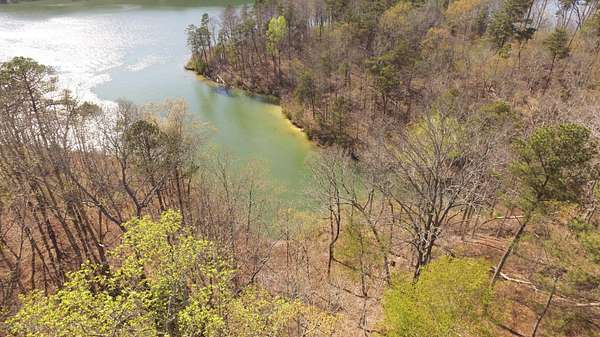 Land for Sale in Arley, Alabama