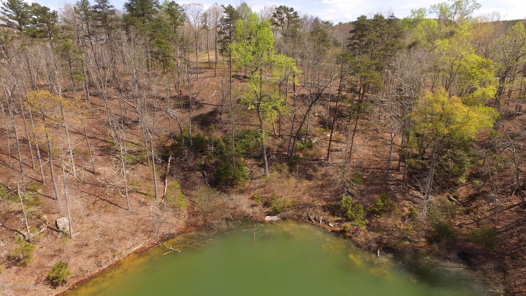 Land for Sale in Arley, Alabama