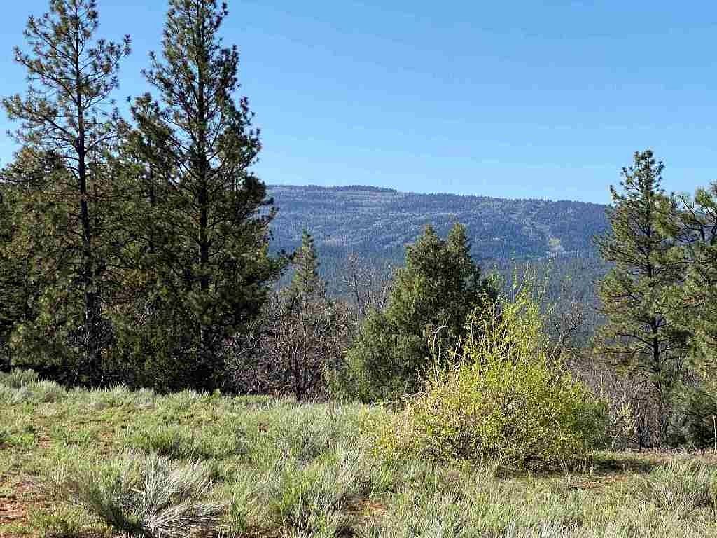 27.9 Acres of Recreational Land for Sale in Chama, New Mexico
