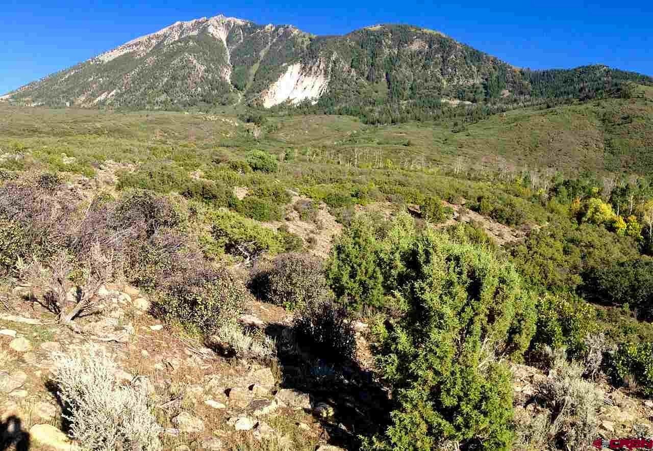 40 Acres of Land for Sale in Paonia, Colorado