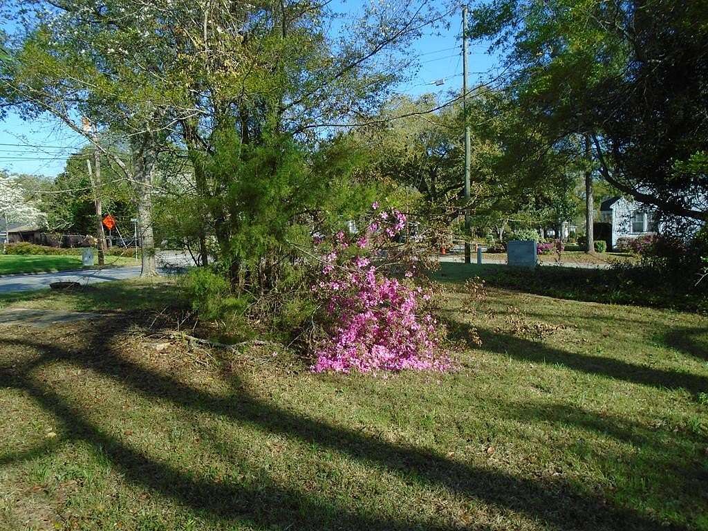 0.5 Acres of Land for Sale in Manning, South Carolina