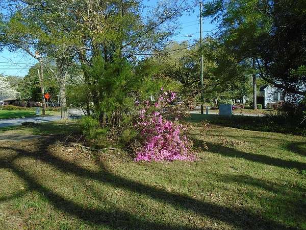 0.5 Acres of Land for Sale in Manning, South Carolina