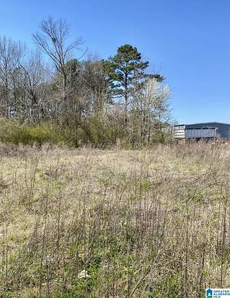 1.9 Acres of Commercial Land for Sale in Childersburg, Alabama