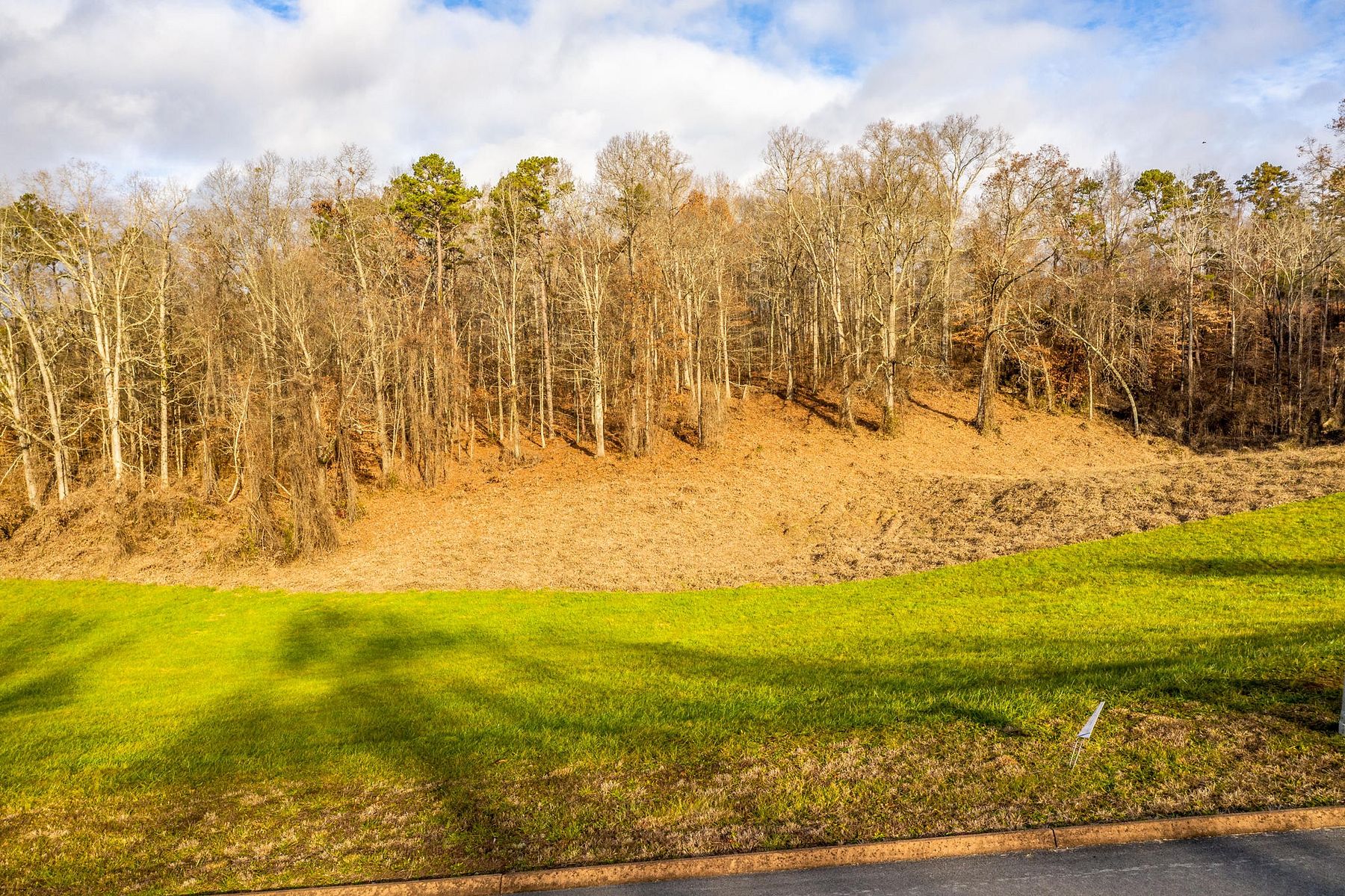 0.71 Acres of Residential Land for Sale in Rutledge, Tennessee