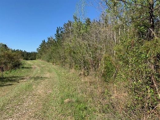 20 Acres of Recreational Land for Sale in Mittie, Louisiana