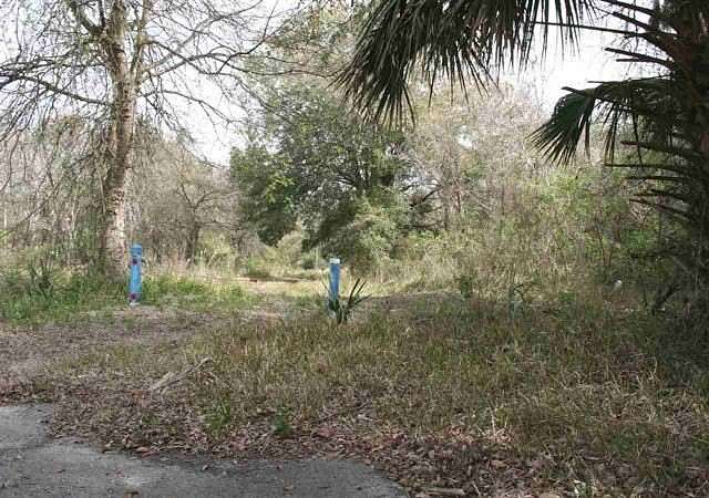 8.8 Acres of Residential Land for Sale in Hastings, Florida