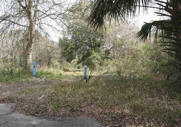 8.8 Acres of Residential Land for Sale in Hastings, Florida