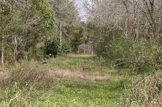 8.8 Acres of Residential Land for Sale in Hastings, Florida