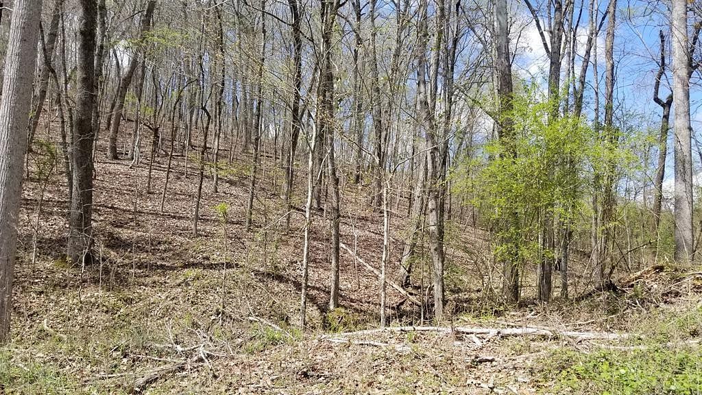 0.36 Acres of Residential Land for Sale in Spring City, Tennessee