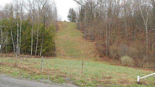 9.8 Acres of Land for Sale in Blossburg, Pennsylvania