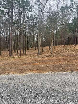 1.4 Acres of Residential Land for Sale in Abbeville, Alabama