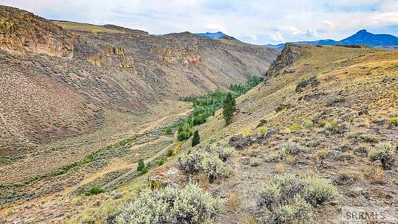 80 Acres of Recreational Land for Sale in Mackay, Idaho