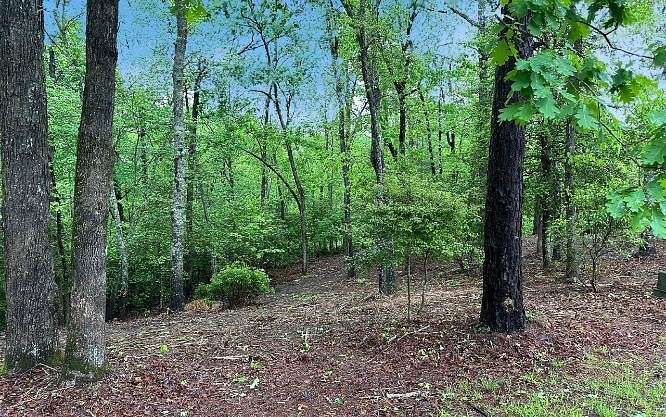 1 Acre of Residential Land for Sale in Brasstown, North Carolina