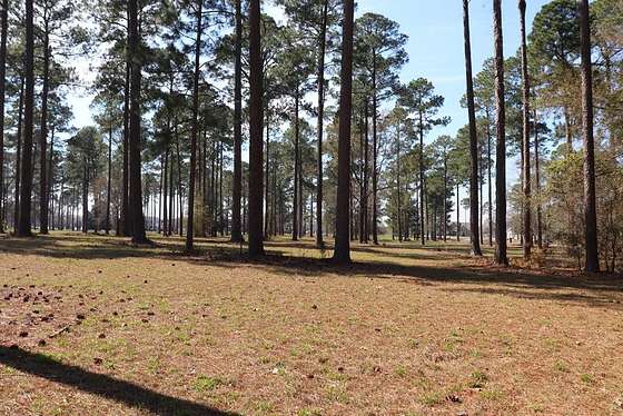 3.1 Acres of Agricultural Land for Sale in Cordele, Georgia