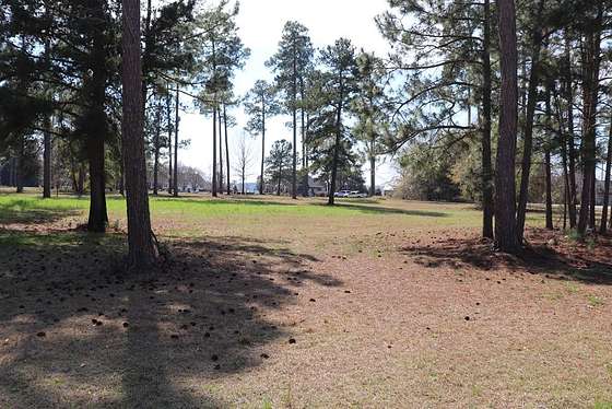 3.163 Acres of Agricultural Land for Sale in Cordele, Georgia