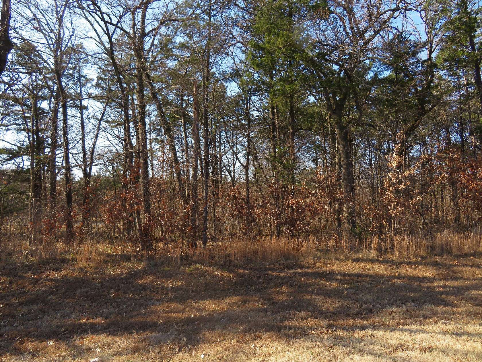 0.22 Acres of Land for Sale in Gordonville, Texas
