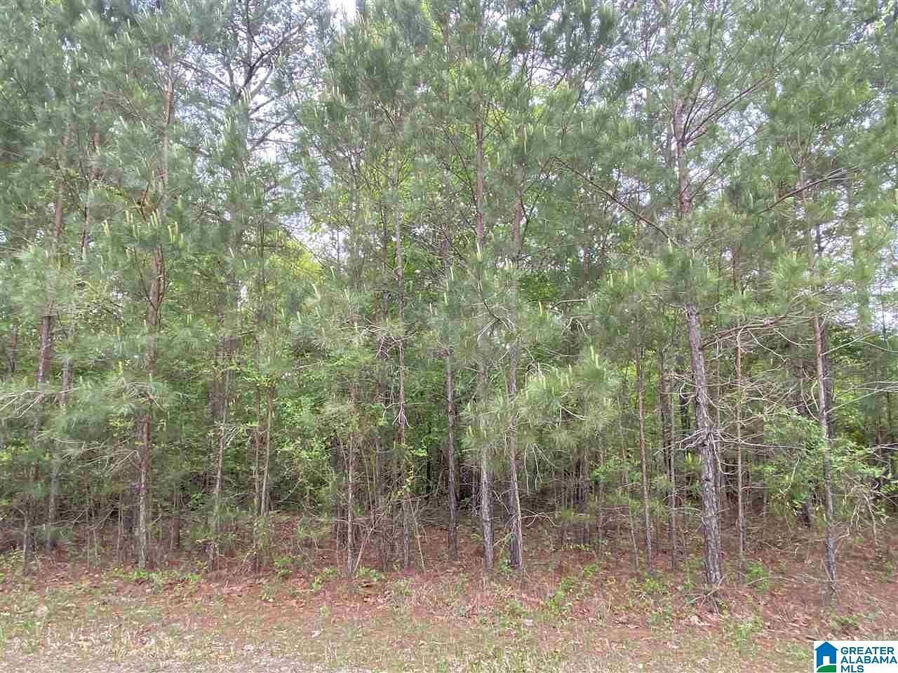 1.4 Acres of Residential Land for Sale in Odenville, Alabama