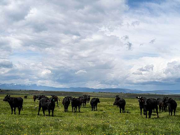 12,982 Acres of Recreational Land & Farm for Sale in Wisdom, Montana