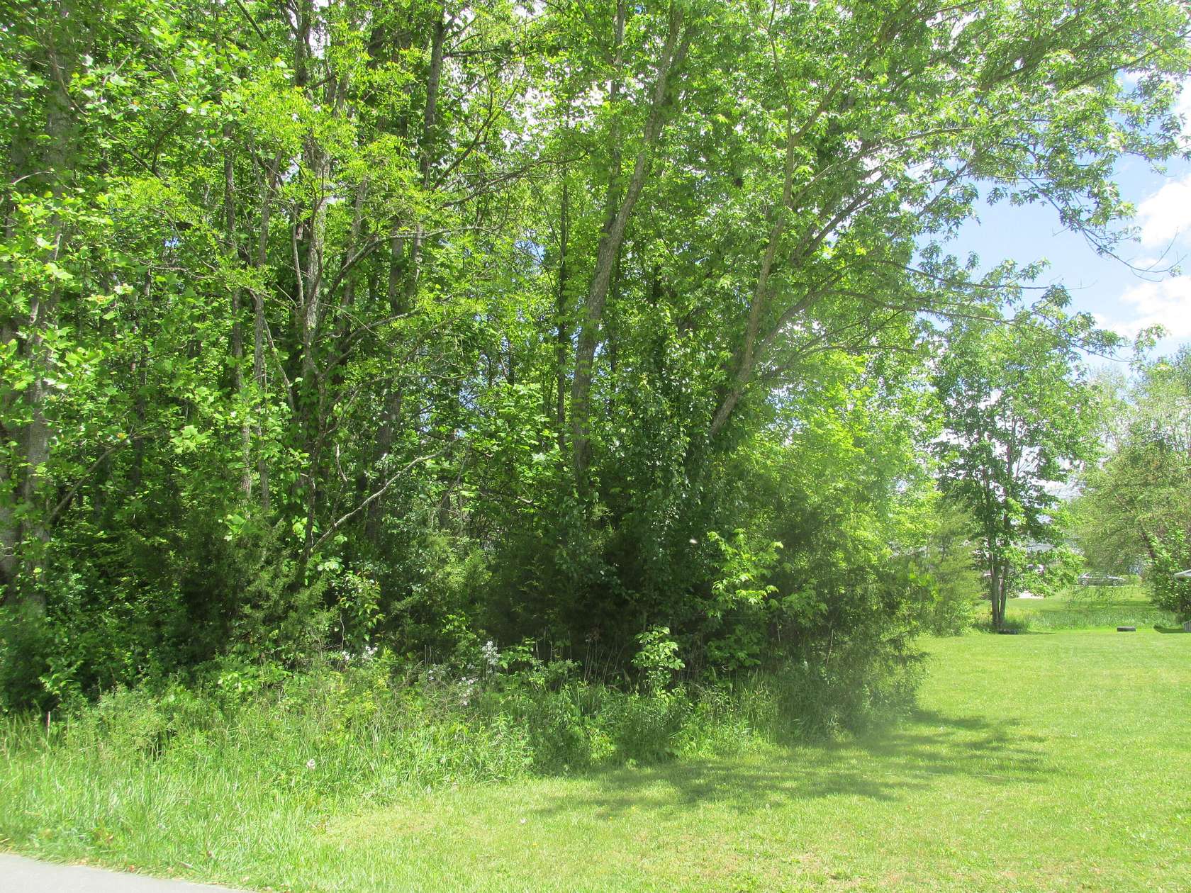 Land for Sale in Johnson City, Tennessee