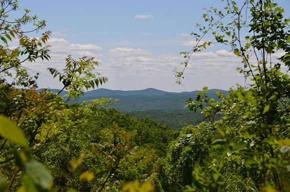 251 Acres of Recreational Land for Sale in Woolwine, Virginia