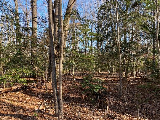 61 Acres of Land for Sale in Montross, Virginia