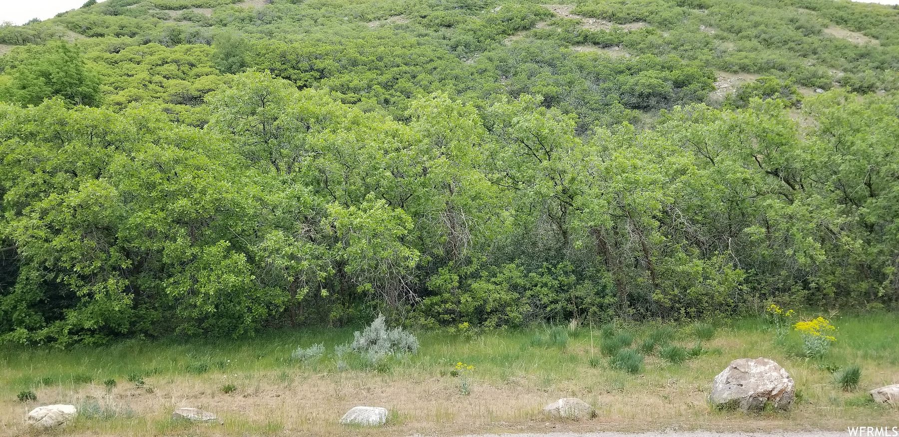 16.2 Acres of Land for Sale in Uintah, Utah
