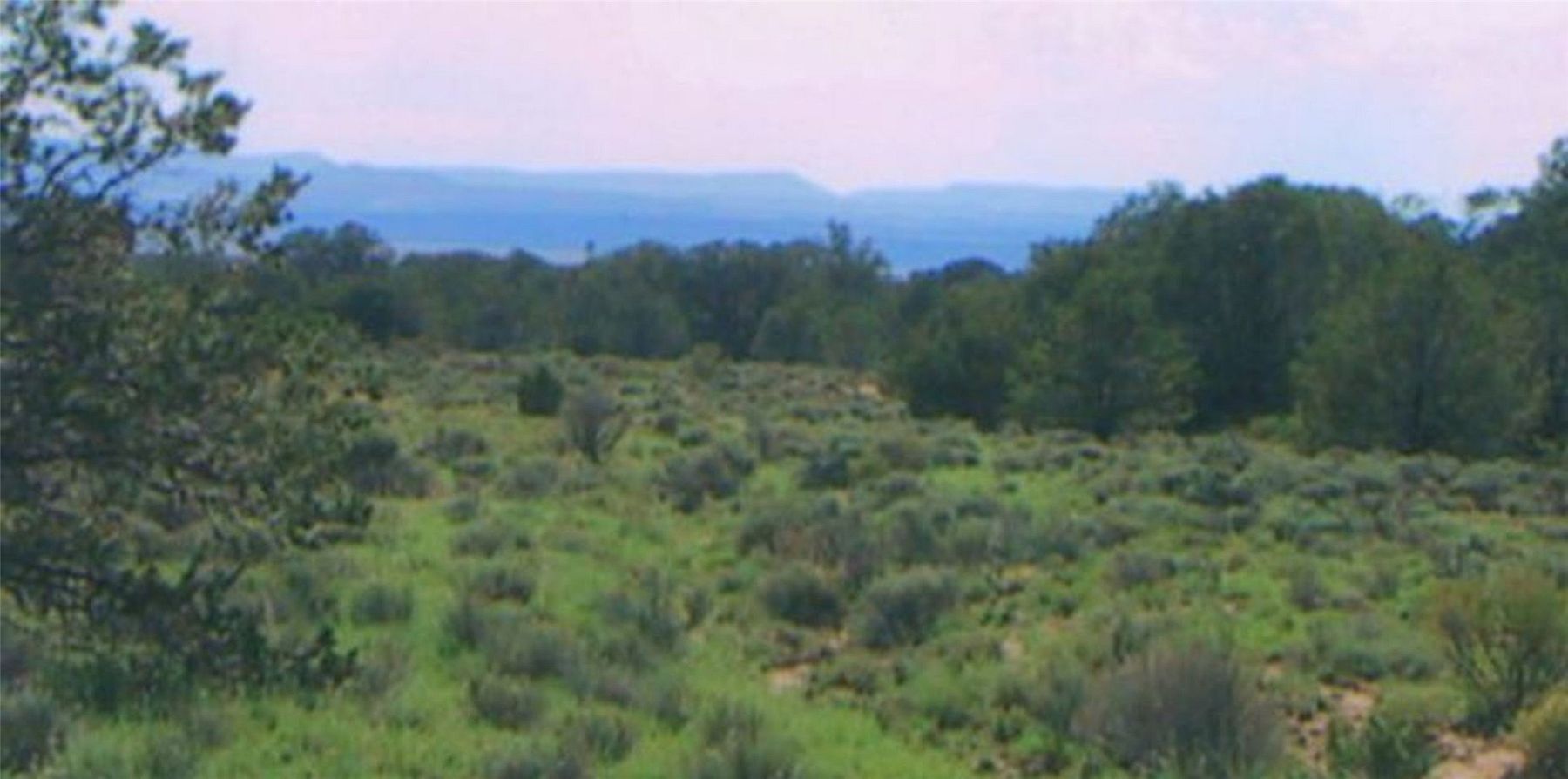 140 Acres of Land for Sale in Pie Town, New Mexico