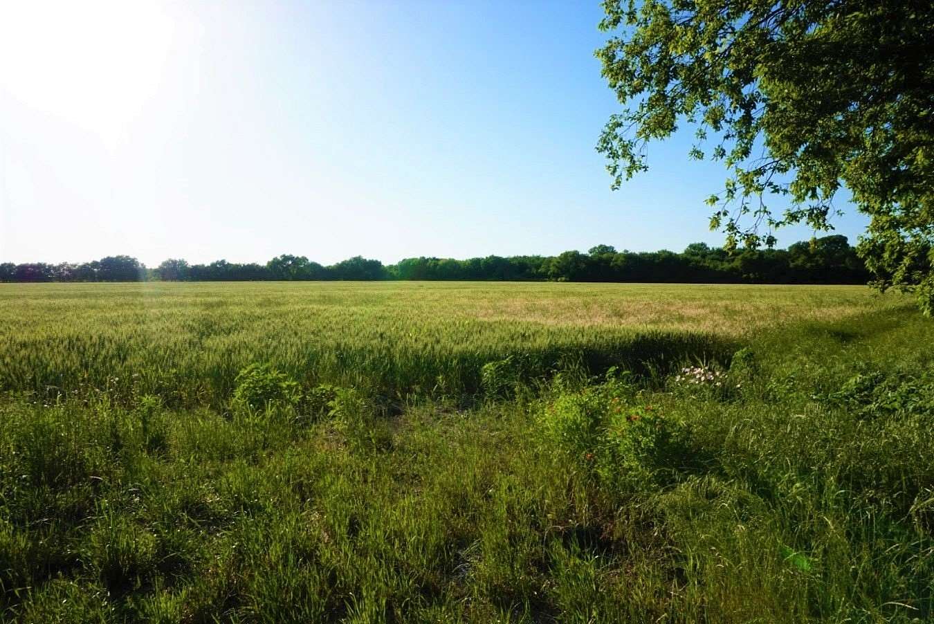 168 Acres of Agricultural & Residential Land for Sale in Sanger, Texas