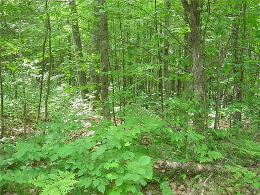 2.2 Acres of Residential Land for Sale in Cable, Wisconsin