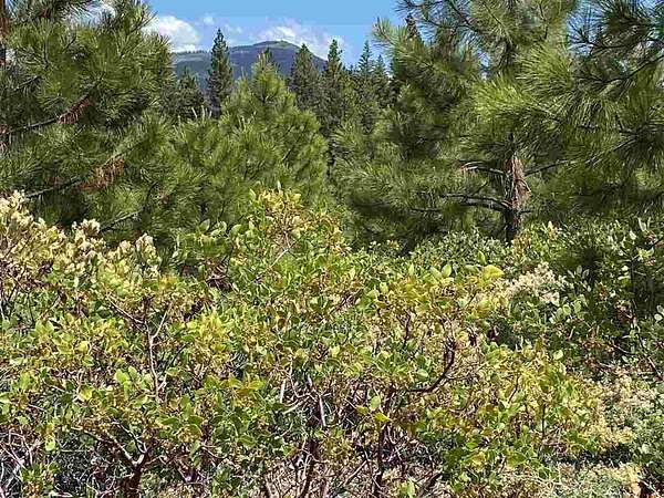 0.28 Acres of Land for Sale in Lake Almanor Peninsula, California