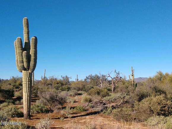 1.07 Acres of Residential Land for Sale in Rio Verde, Arizona