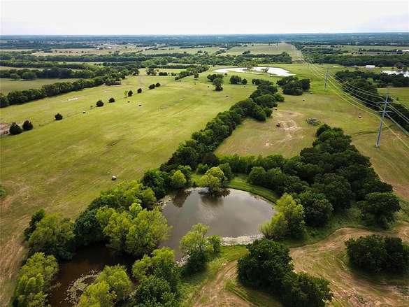 48.435 Acres of Agricultural Land for Sale in Farmersville, Texas