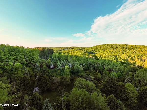 116 Acres of Recreational Land for Sale in Prompton, Pennsylvania