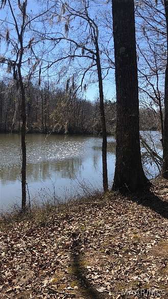 0.78 Acres of Residential Land for Sale in Lowndesboro, Alabama