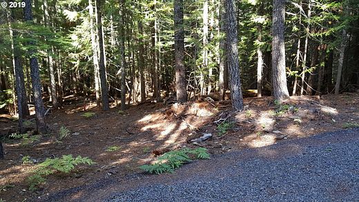 2.2 Acres of Residential Land for Sale in Government Camp, Oregon