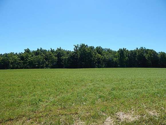 15.3 Acres of Agricultural Land for Sale in Meadows of Dan, Virginia