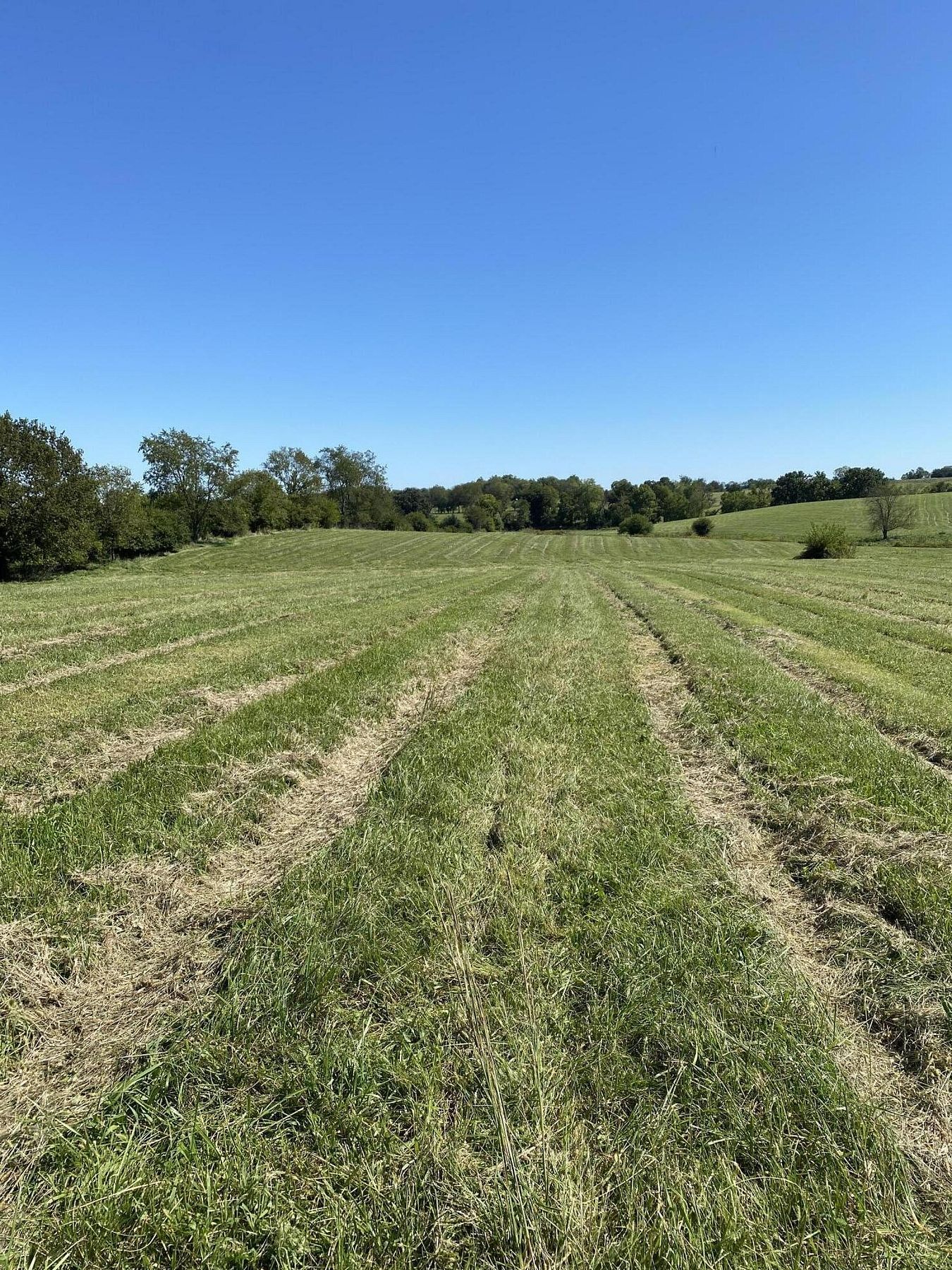 24.017 Acres of Land for Sale in Winchester, Kentucky