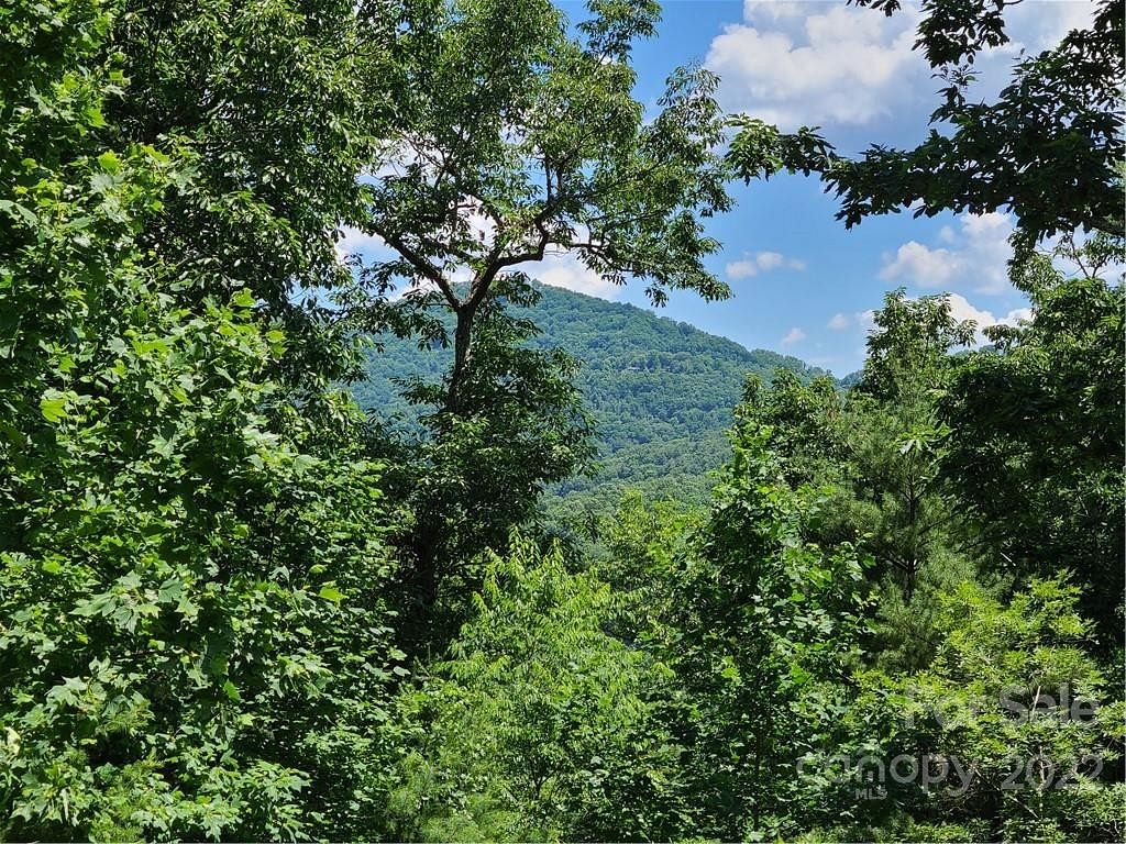 1.1 Acres of Land for Sale in Asheville, North Carolina