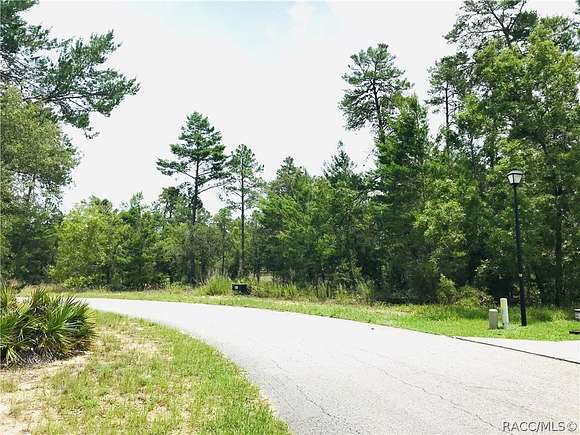 0.28 Acres of Residential Land for Sale in Homosassa, Florida