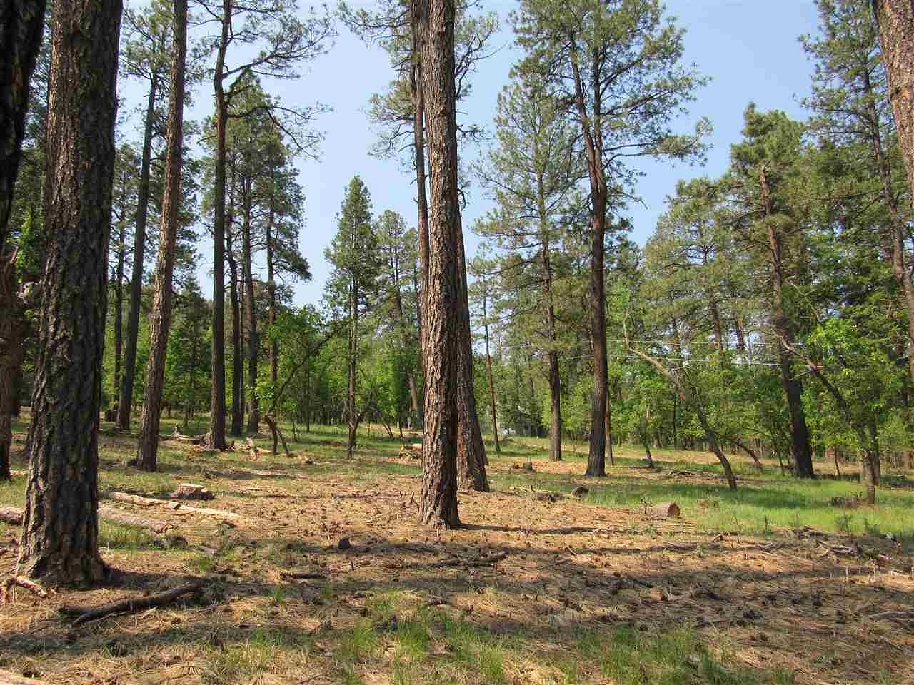 1.66 Acres of Residential Land for Sale in Rociada, New Mexico