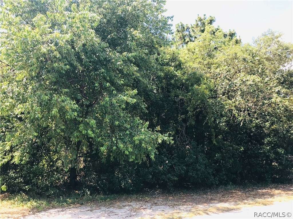 0.34 Acres of Residential Land for Sale in Homosassa, Florida