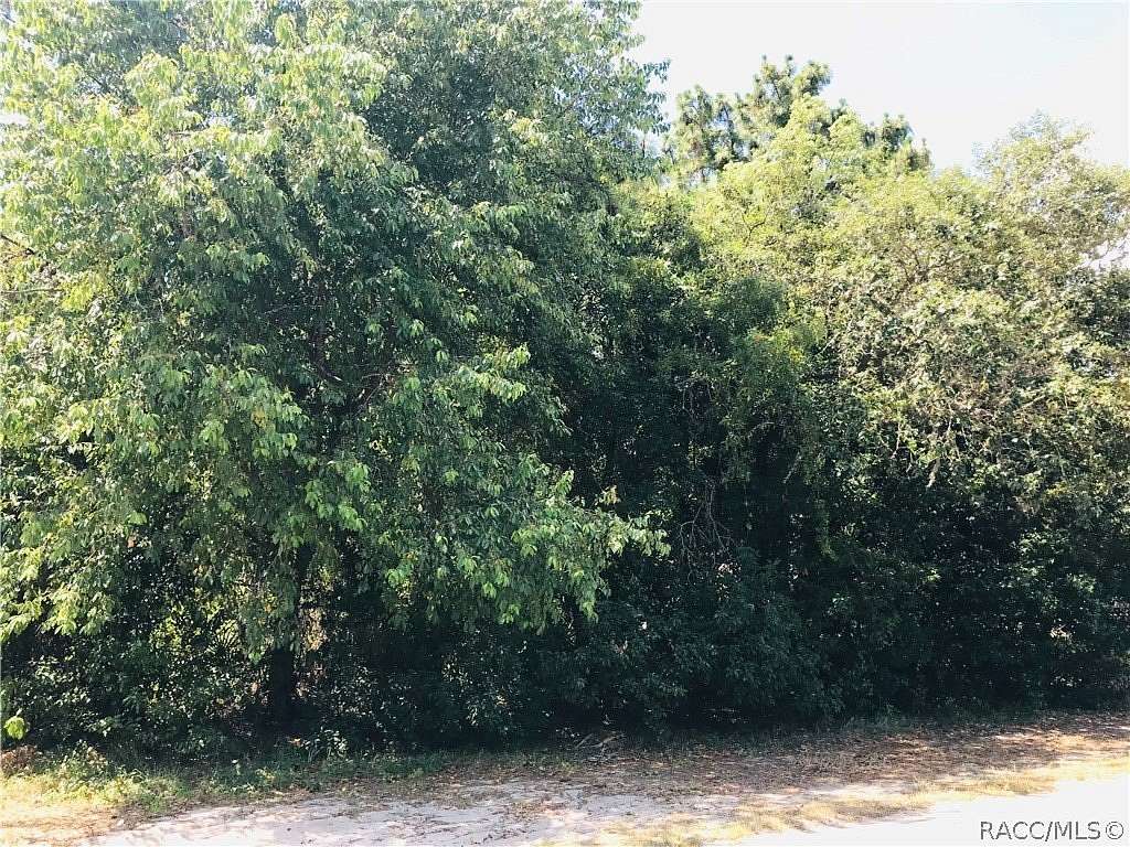 0.34 Acres of Residential Land for Sale in Homosassa, Florida