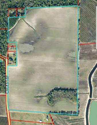 107 Acres of Agricultural Land for Sale in Alma, Georgia