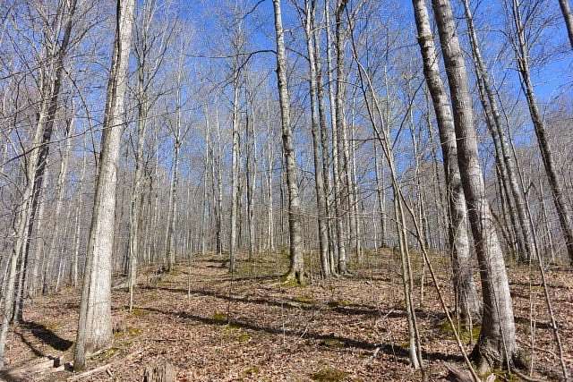 5.59 Acres of Land for Sale in Allons, Tennessee