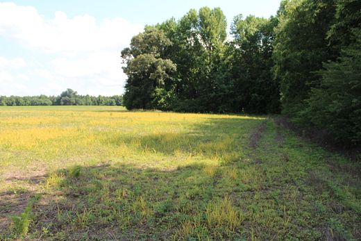32.8 Acres of Recreational Land for Sale in Zebulon, North Carolina