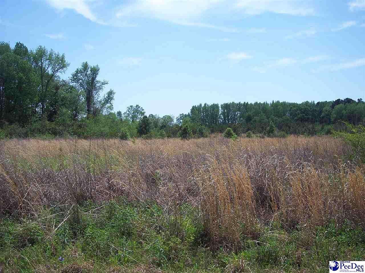 1 Acre of Residential Land for Sale in Dillon, District of Columbia