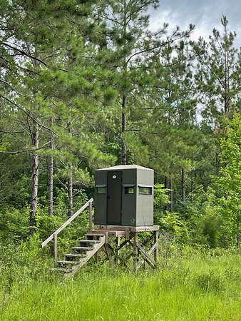 277 Acres of Land for Sale in Many, Louisiana